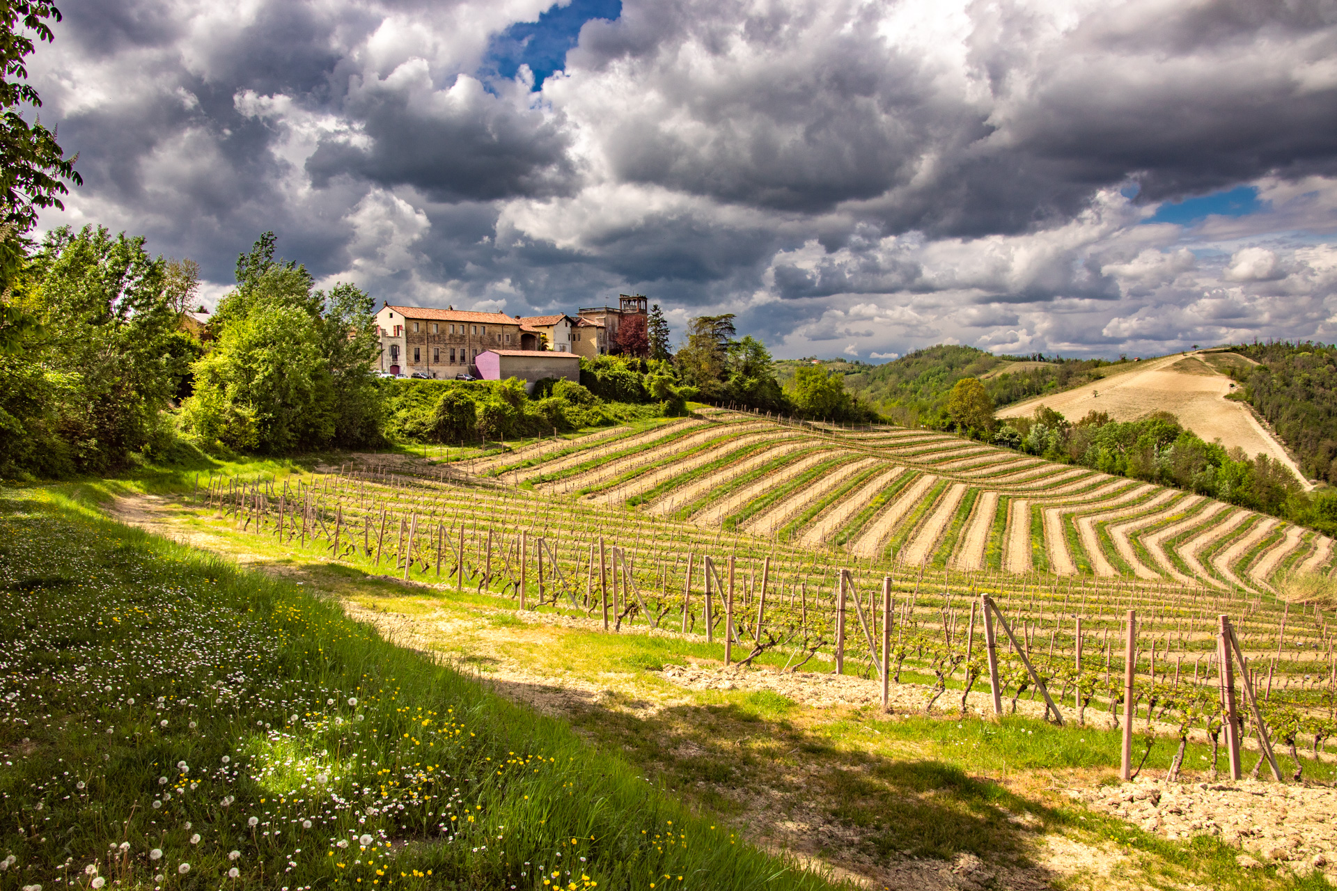 Le meraviglie del Basso Monferrato
