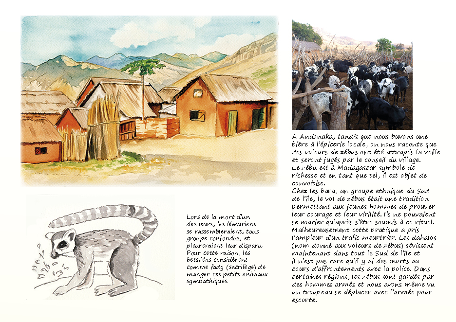 Carnet de voyage Madagascar