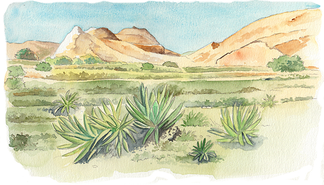 Carnet de voyage Madagascar aquarelle rizières