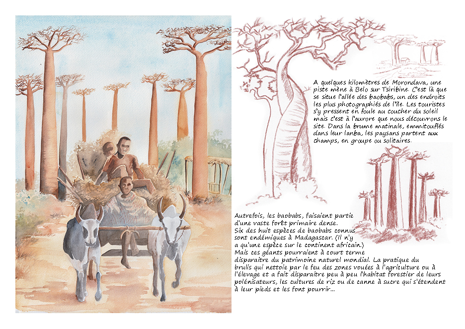 Carnet de voyage Madagascar