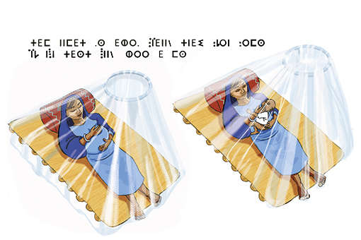 illustration:utiliser une moustiquaire pour les bébés et les femmes enceintes