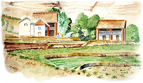 Carnet de voyage Madagascar aquarelle paysage rizières