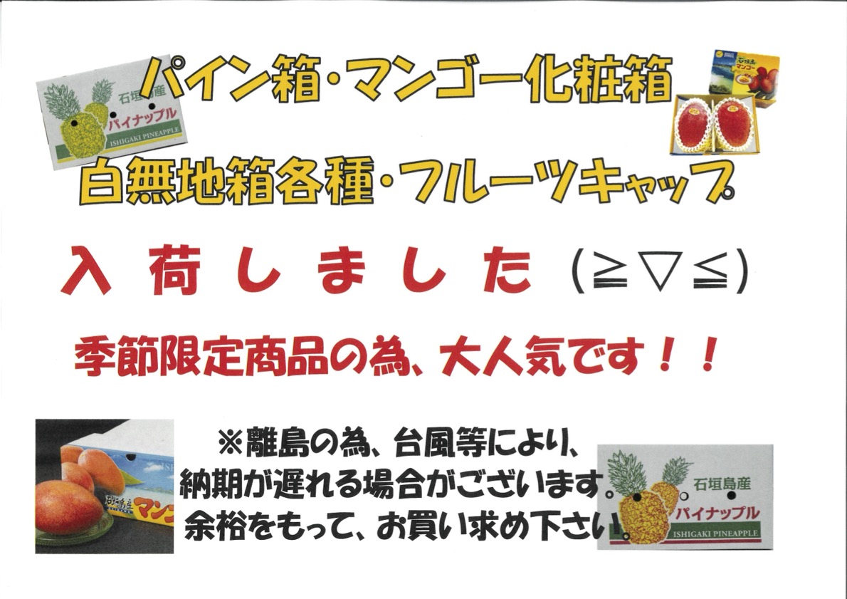 【季節限定、大人気商品！】パイン箱を入荷いたしました！