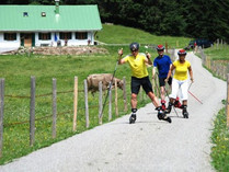 Trendsport Skiken