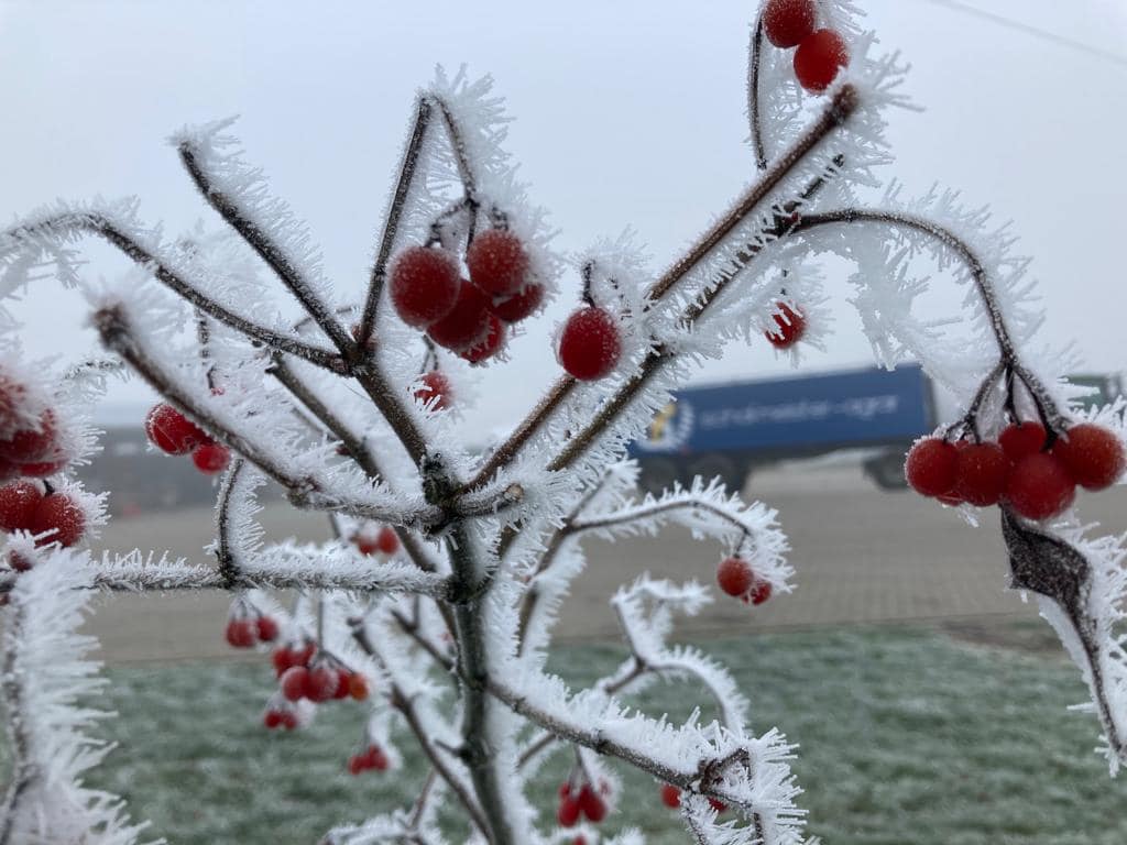 Frohe Weihnachten und alles Gute für 2022!