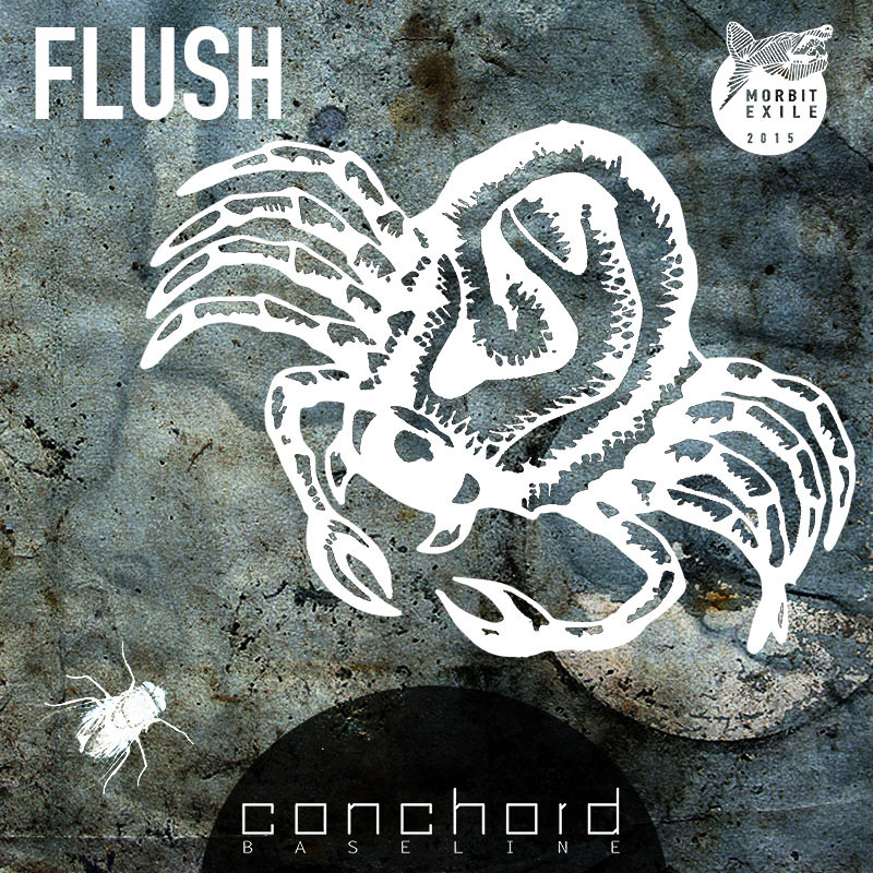 cover artwork illustration || flush | conchord baseline | 2015 vienna 