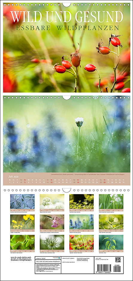 Kalender "Wild und Gesund - essbare Wildpflanzen" 
