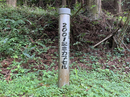 響き　正しい音程　響く　効果　持続　ヴァイオリン　教室　バイオリン　レッスン