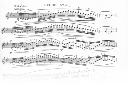 Ševčík Op.26　ヴァイオリン　演奏　様式美　伝統　奏法　体系　指導　失われた　運弓　理論　音程　技術　表現法　音大生　プロ奏者　指導者　伝承　現代　ヴァイオリン　教育　空洞化　解決　演奏　深み　説得力　上達　本格的　レッスン