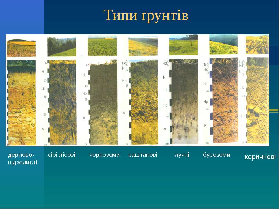 Грунти України - Сайт geografiamozil2!