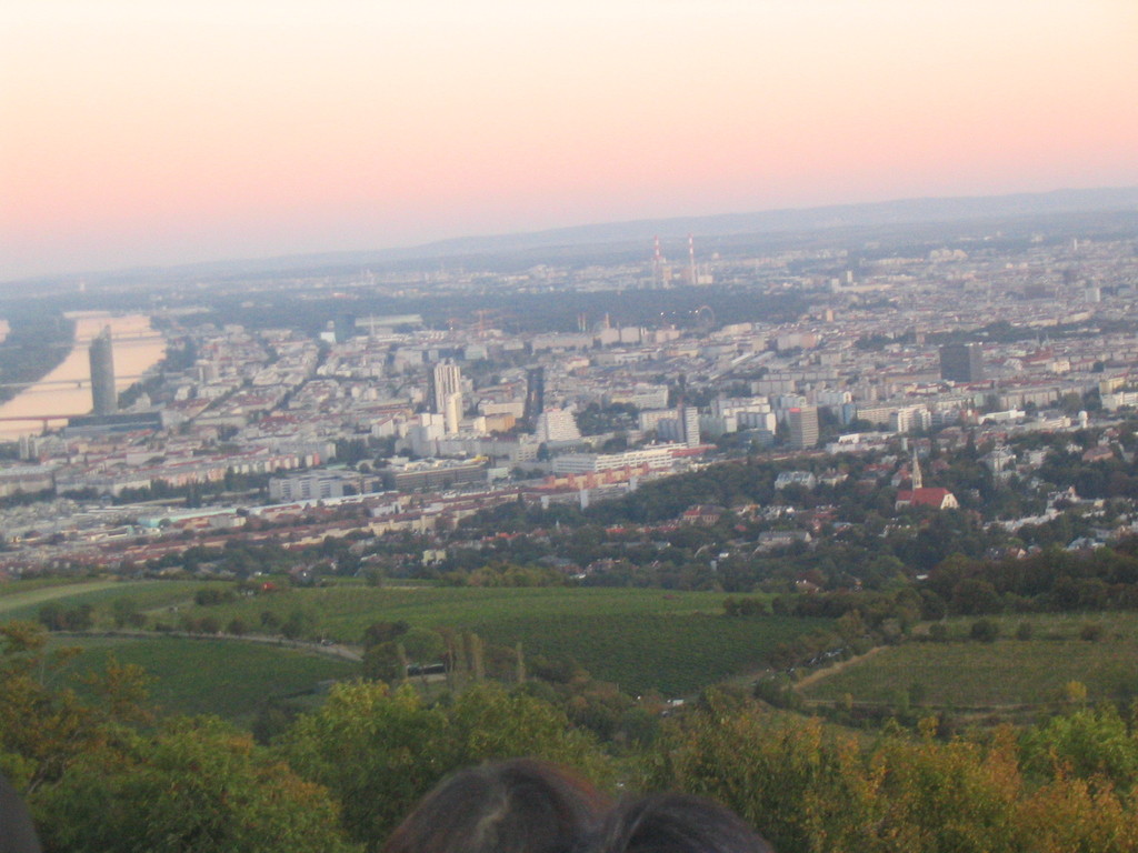 Blick vom Leopoldsberg auf Wien