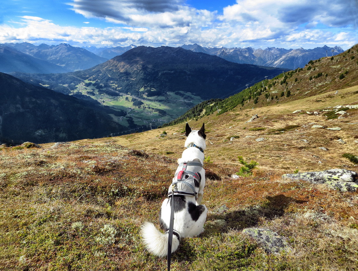 Ein so schöner Blick auf die Wiesen