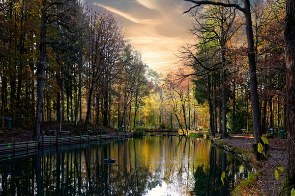 Am Weiher 