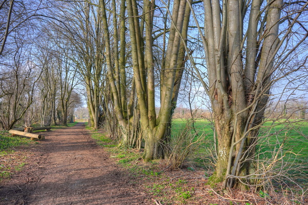 Zur Asteneter Strasse von Hagbenden