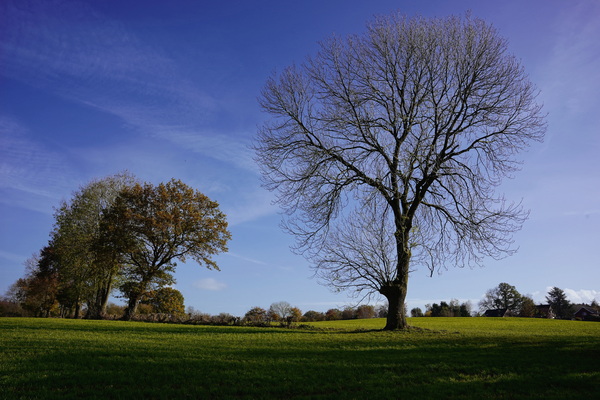 Am Schallenberg