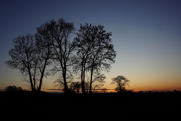 Abendstimmung im Feldchen