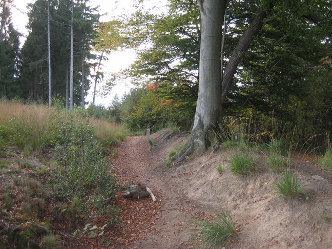 Landgraben am Bingeberg in Hauset