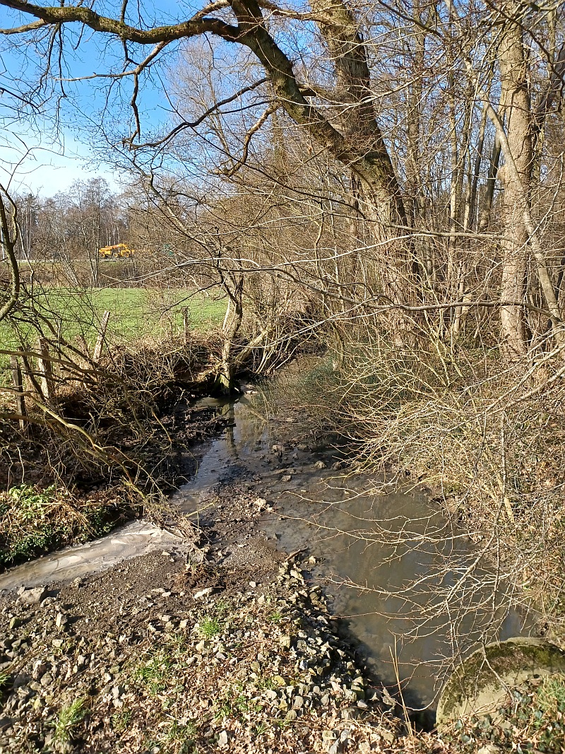 3. Göhl am Weg vom Hundesportplatz in den Wald rein