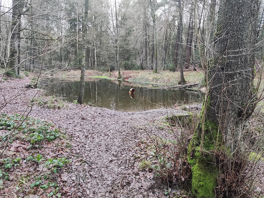 1 Quelle der Göhl am Landgraben