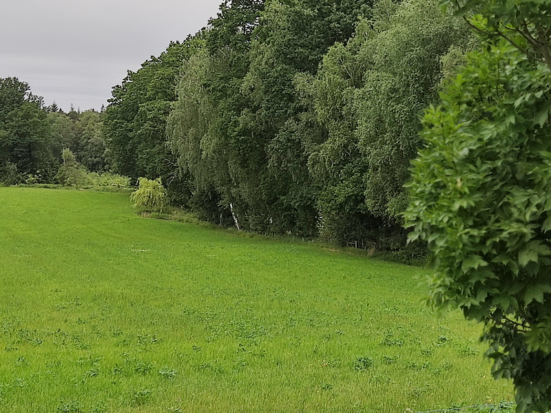 Wiesenecke bei B D Grenzstein 949