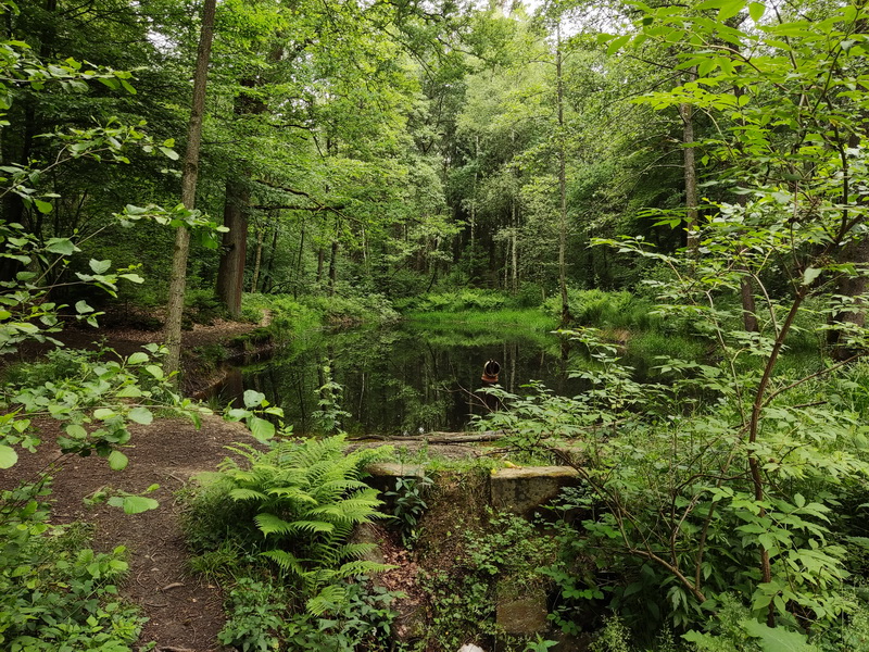 1 Quelle der Göhl am Landgraben