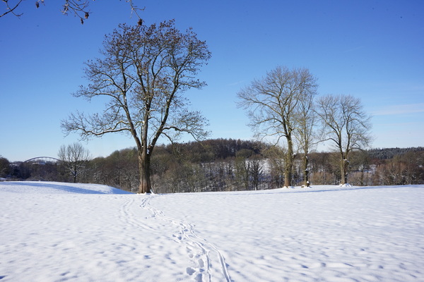 Beschessenberg