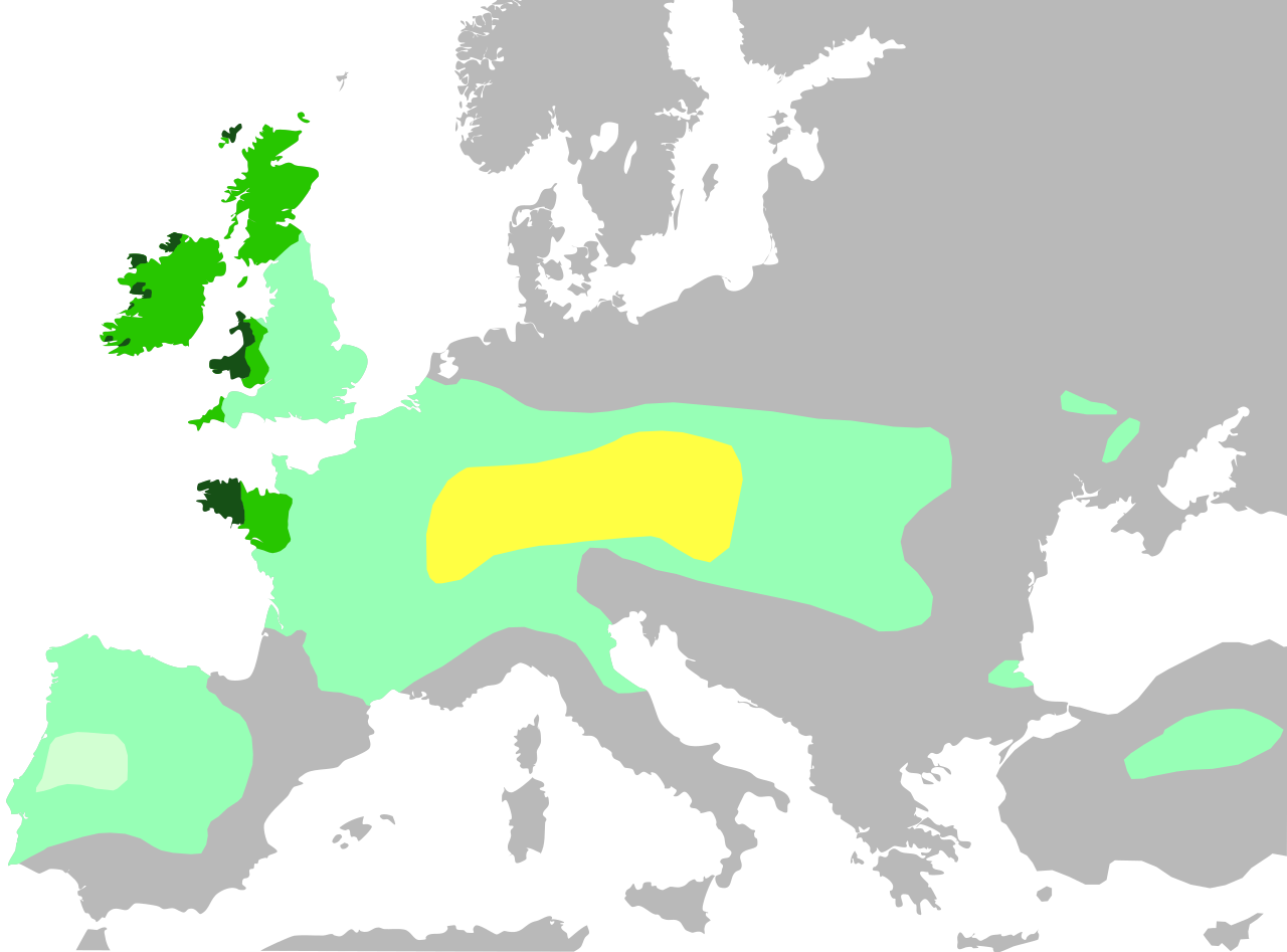 Die Kelten in Europa um 100 v. Chr.
