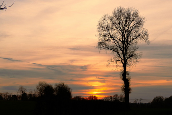 Abendstimmung an der Asteneter Straße