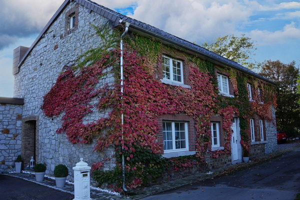 Haus Kalff an der Follmühle