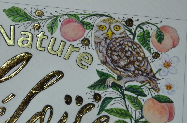 Enluminure création pour une étiquette de vin pour le domaine de l'Anchois réalisée par l'atelier sc-enluminure