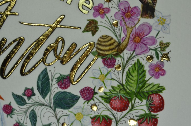 Enluminure création pour une étiquette de vin pour le domaine de l'Anchois réalisée par l'atelier sc-enluminure