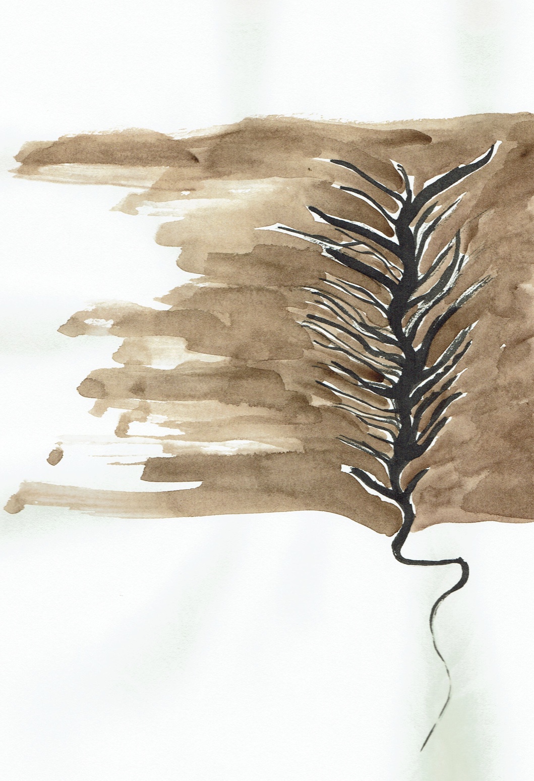 Wurzeln No4, 20x29cm, Mischtechnik Tusche und Aquarell