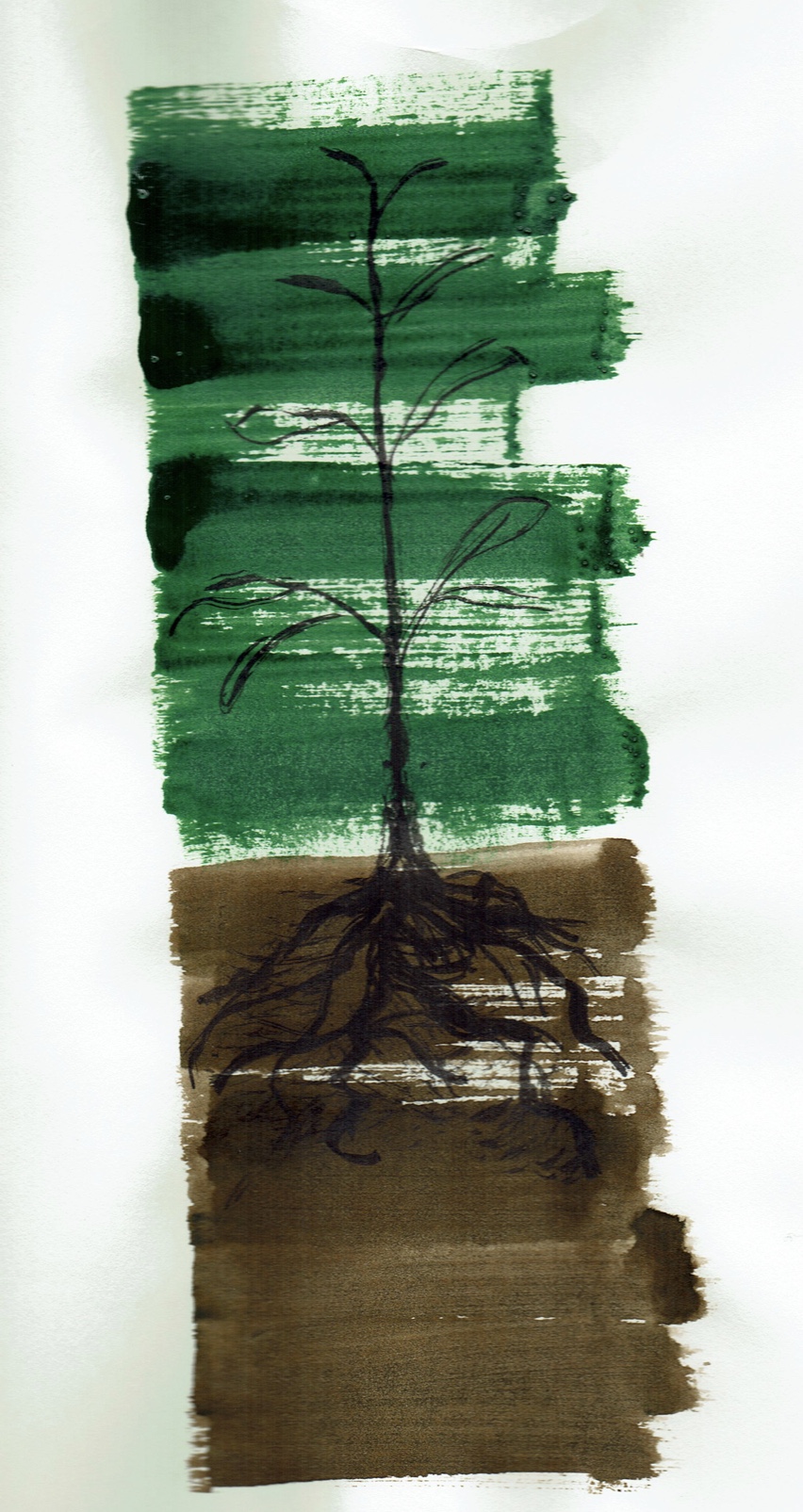 Wurzeln No7, 20x29cm, Tusche, 2019