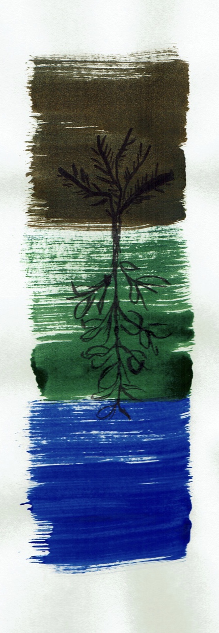 Wurzeln No1, 20x29cm, Tusche