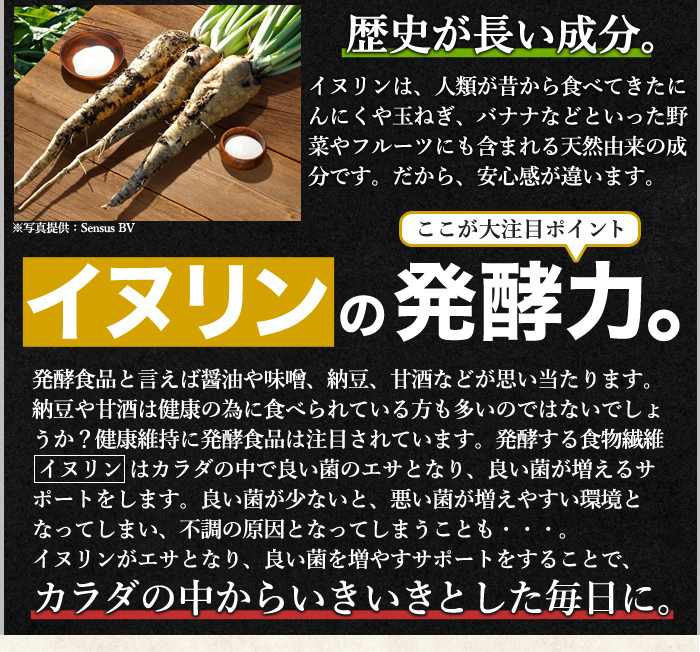 ■野菜からはなかなかとれない 水溶性食物繊維を多めに配合しました。 その水溶性食物繊維が大注目の「イヌリン」 ・天然由来の食物繊維。 本品のイヌリンの原料となっているのはオランダの大地で栽培された「チコリ」という野菜。 このチコリという野菜の根からイヌリンは抽出されます。野菜の中でもチコリ根はイヌリンを多く含みます。 ・歴史が長い成分。 イヌリンは、人類が昔から食べてきたにんにくや玉ねぎ、バナナなどといった野菜やフルーツにも含まれる天然由来の成分です。 だから、安心感が違います。