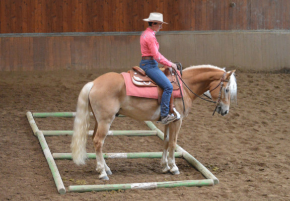 Priska Kelderer; Reiten in Kaltern am See; Reitschule; Pferde; Haflinger