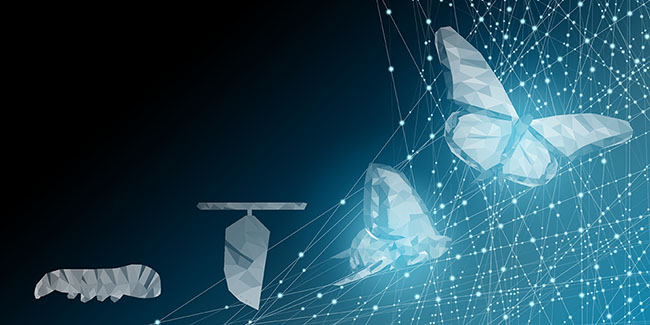 the life cycle of a butterfly from caterpillar to chrysalis to adult emerging to a flying butterfly following a rising graph of glowing data lines