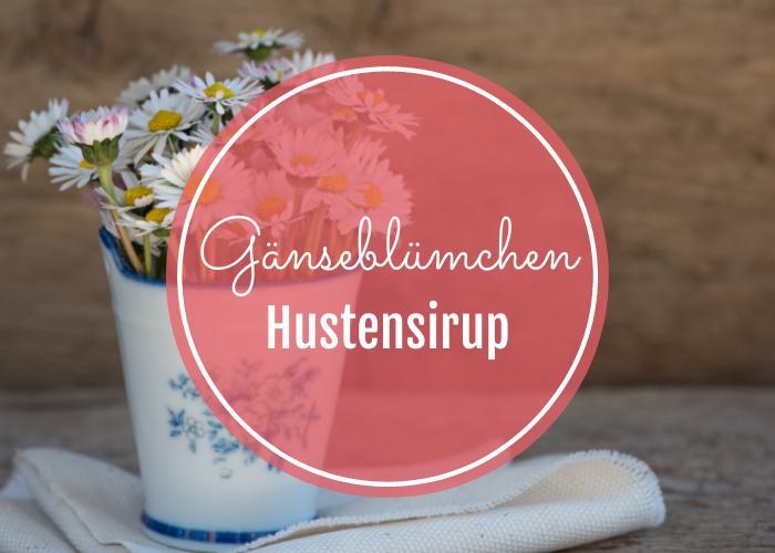 Gänseblümchen-Hustensirup