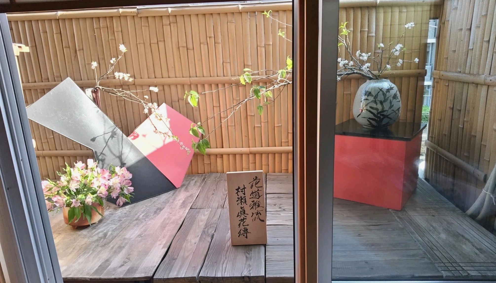 櫻　アストロメリア