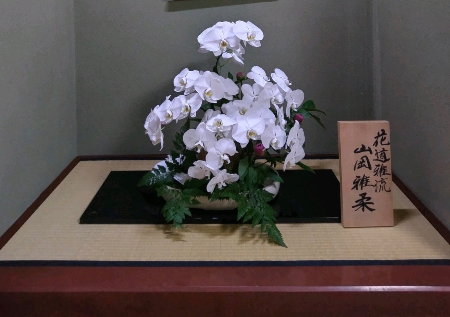 胡蝶蘭　芍薬　レザーファン