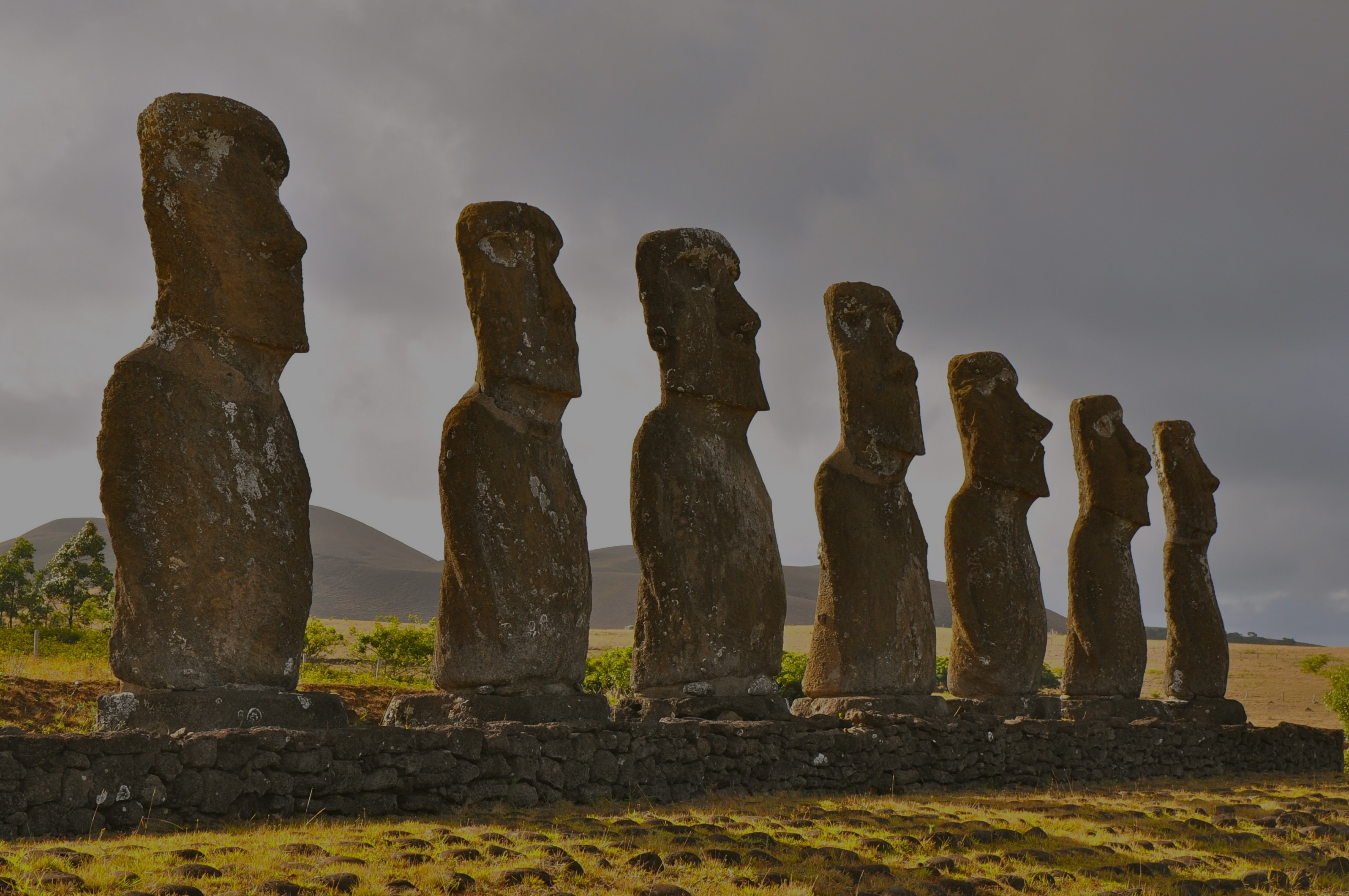 About Moai Capital Moai Capital