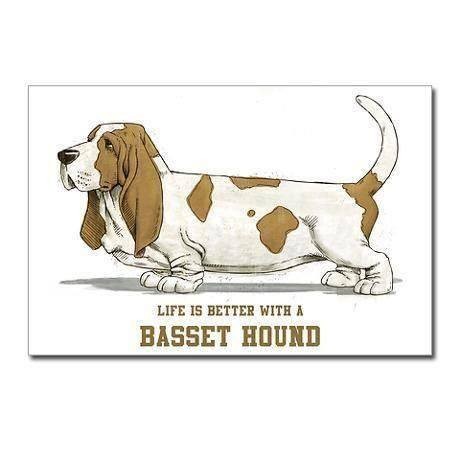 Ozark basset hounds outlet