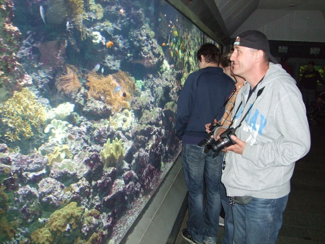 Norbi staunt über tolle Aquarium