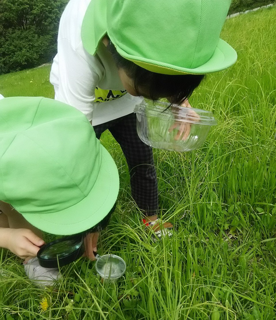 原っぱで自由に遊び、探求し、表現する幸せな時間