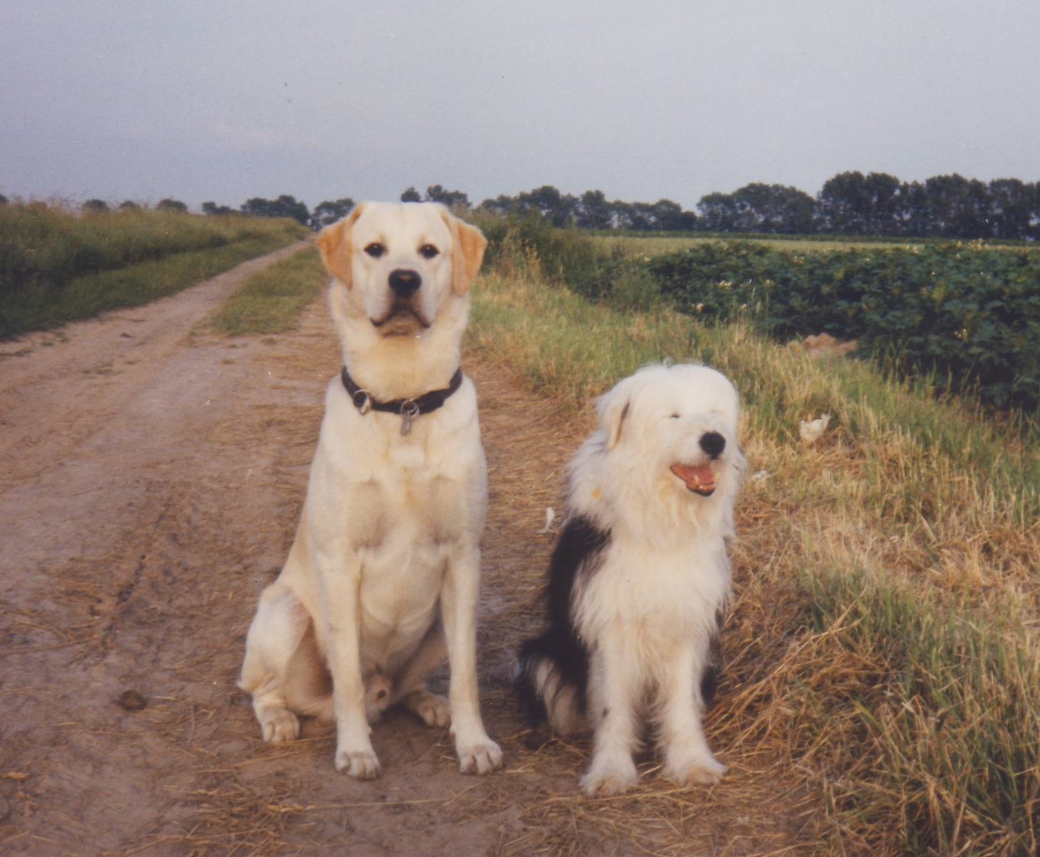 Beppo und Teddy - 1992