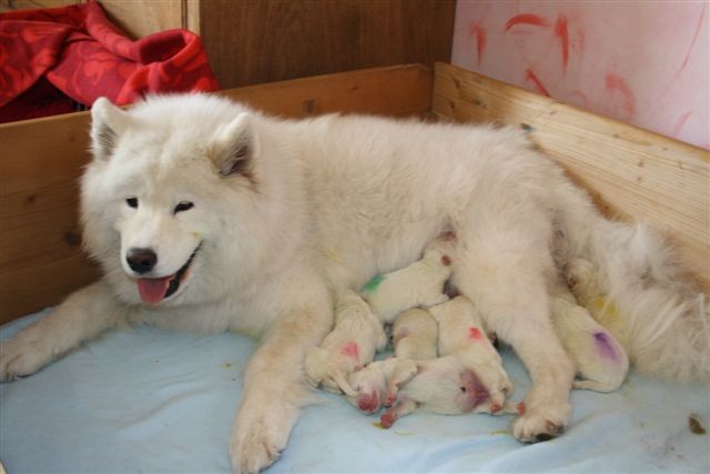 Es sind 5 Mädchen und 3 Buben