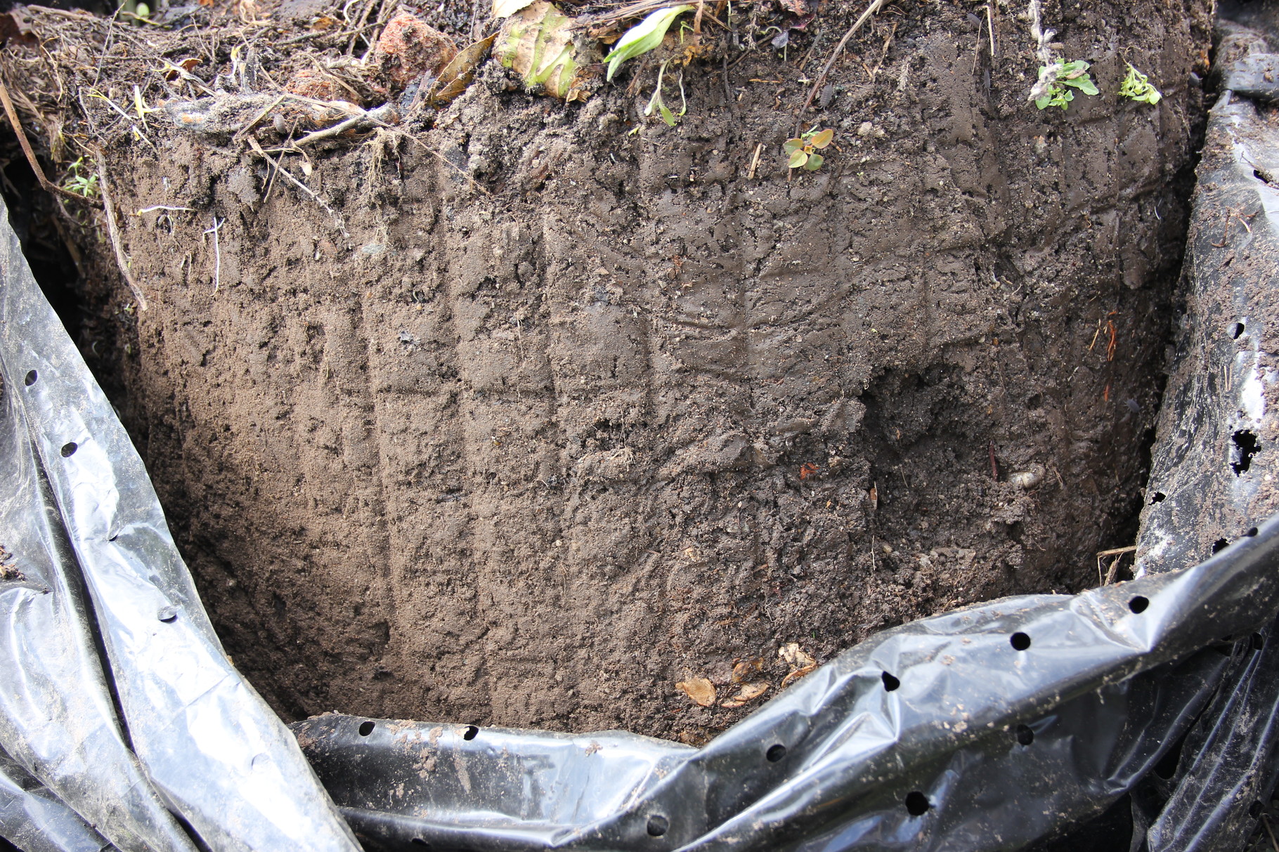 Compost prêt à l'emploi