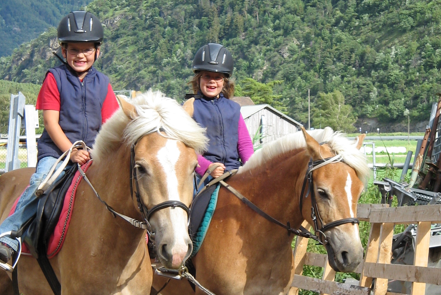 Reitstunden für Kinder und Erwachsene in Einzel- und Gruppenunterricht