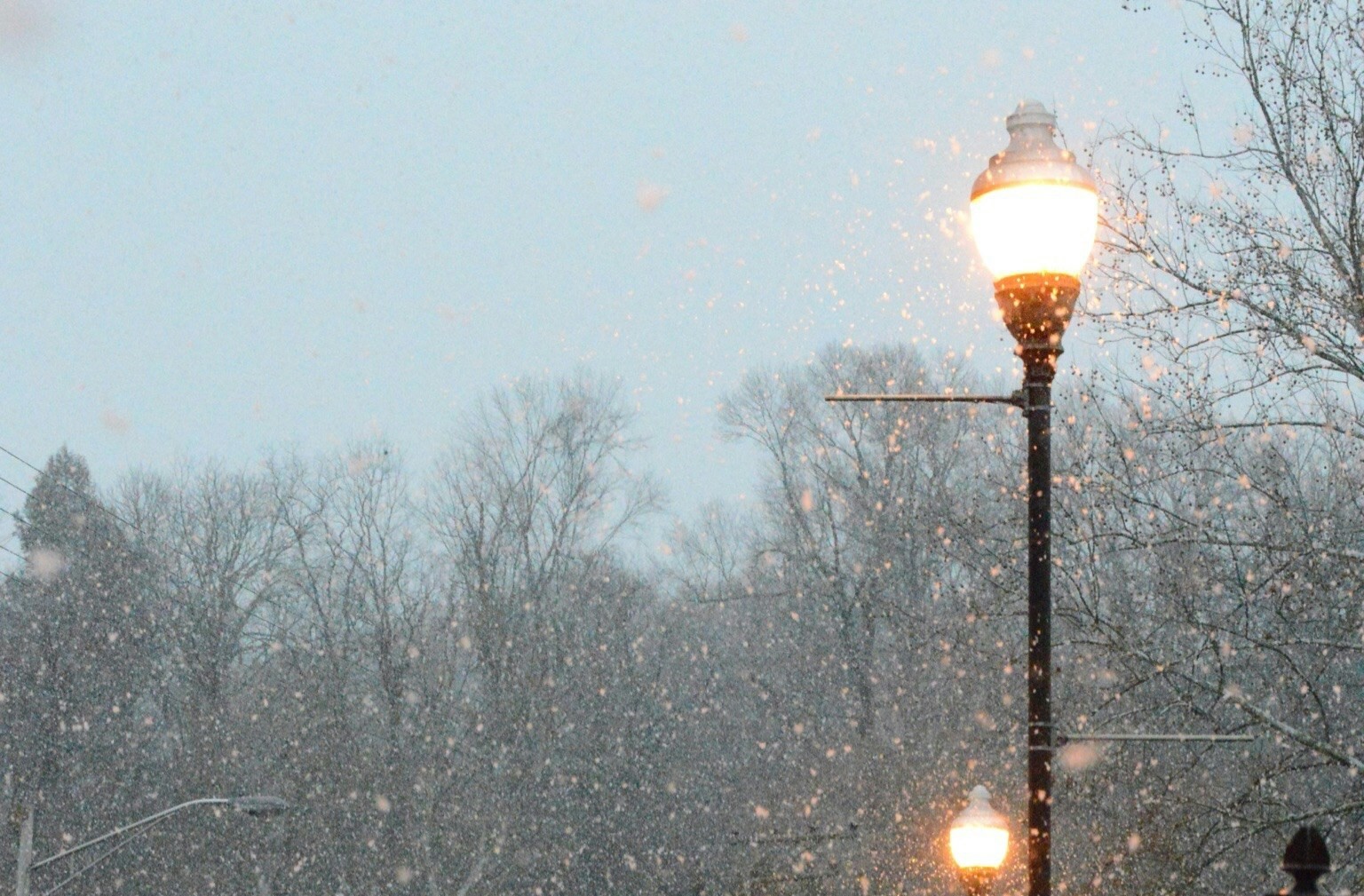 FROST.