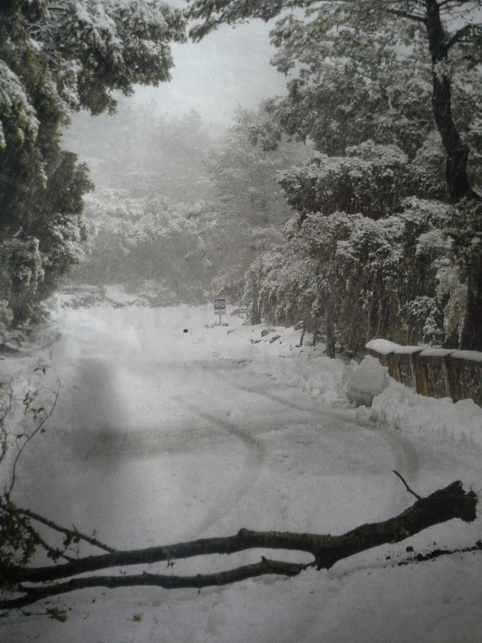 Winter in Mallorca Februar 2015
